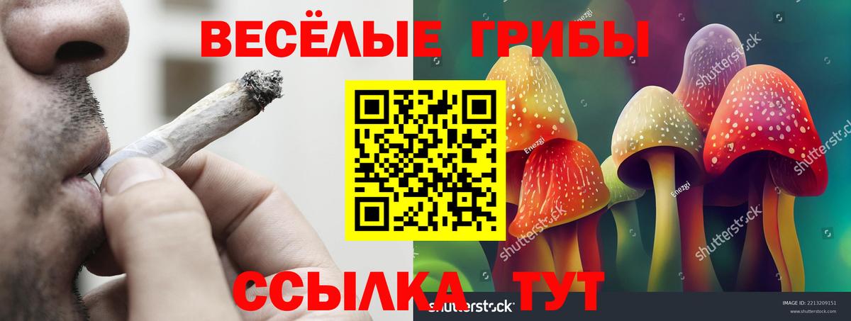 как найти закладки  Вход с VPN  Благовещенск  Псилоцибиновые грибы Magic Shrooms 